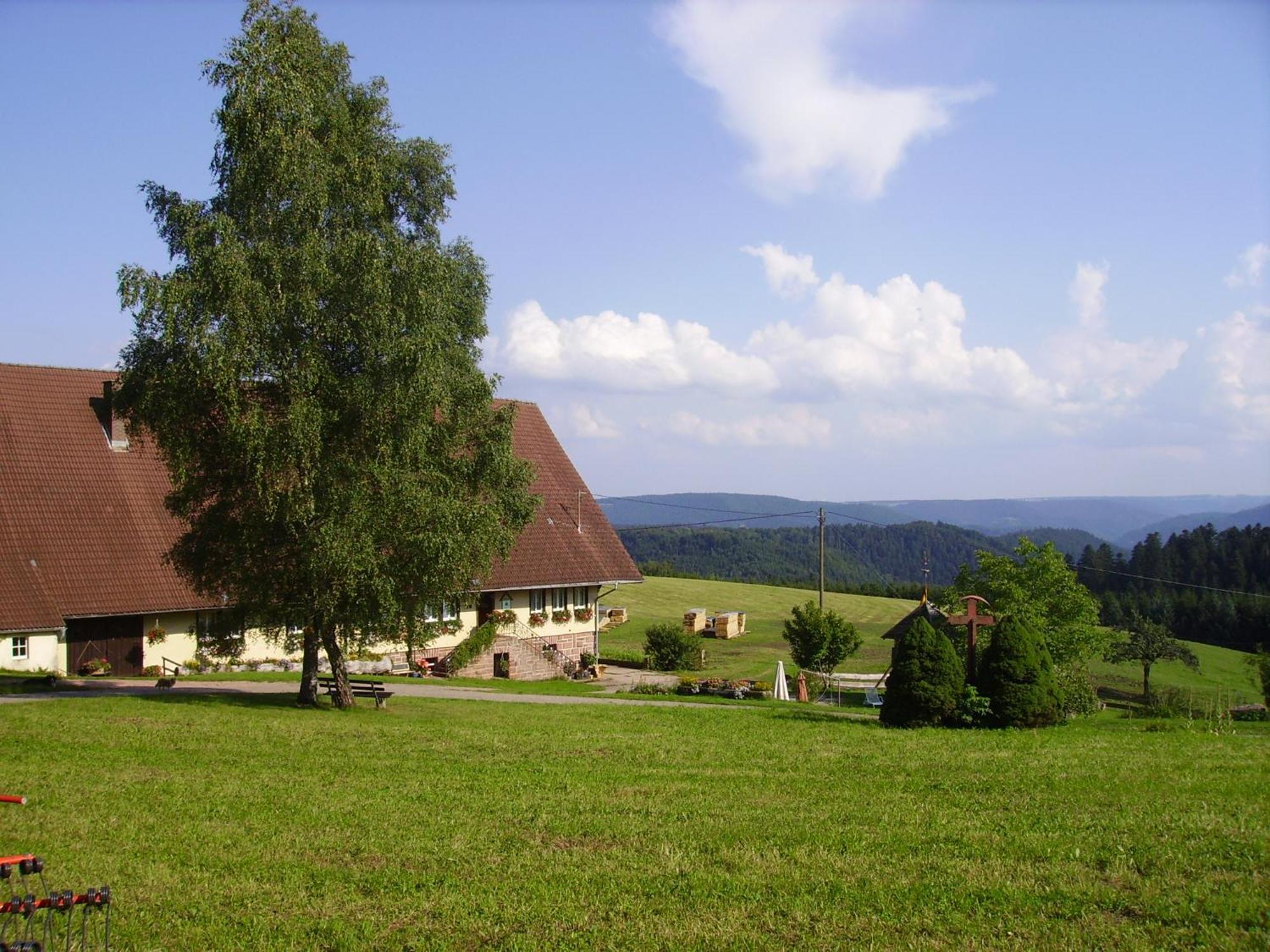 Aeckerhof Villa Wolfach Buitenkant foto